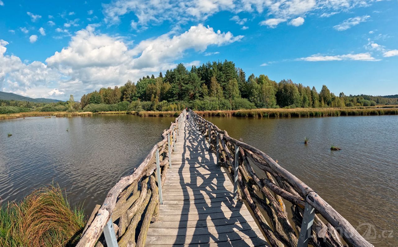 Olšina Nature Trail